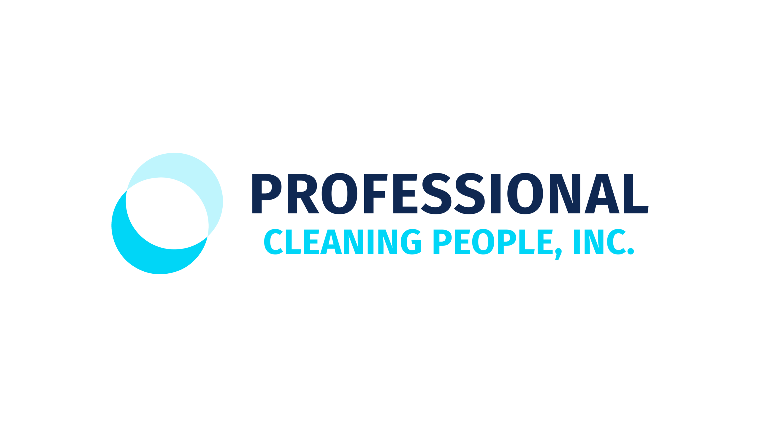 Professional Cleaning People